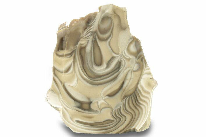 Polished, Striped Flint Stand Up - Poland #263777